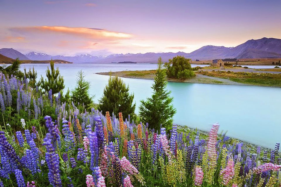 Giới thiệu về Du học New Zealand